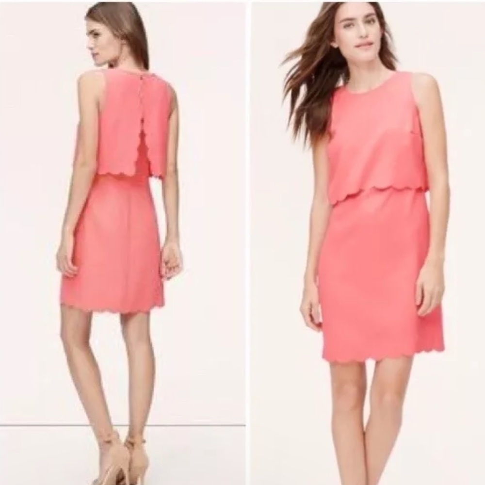 Ann Taylor LOFT Coral Salmon Pink Scallop Layered Sleeveless Womens Dress